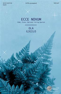 Ecce Novum